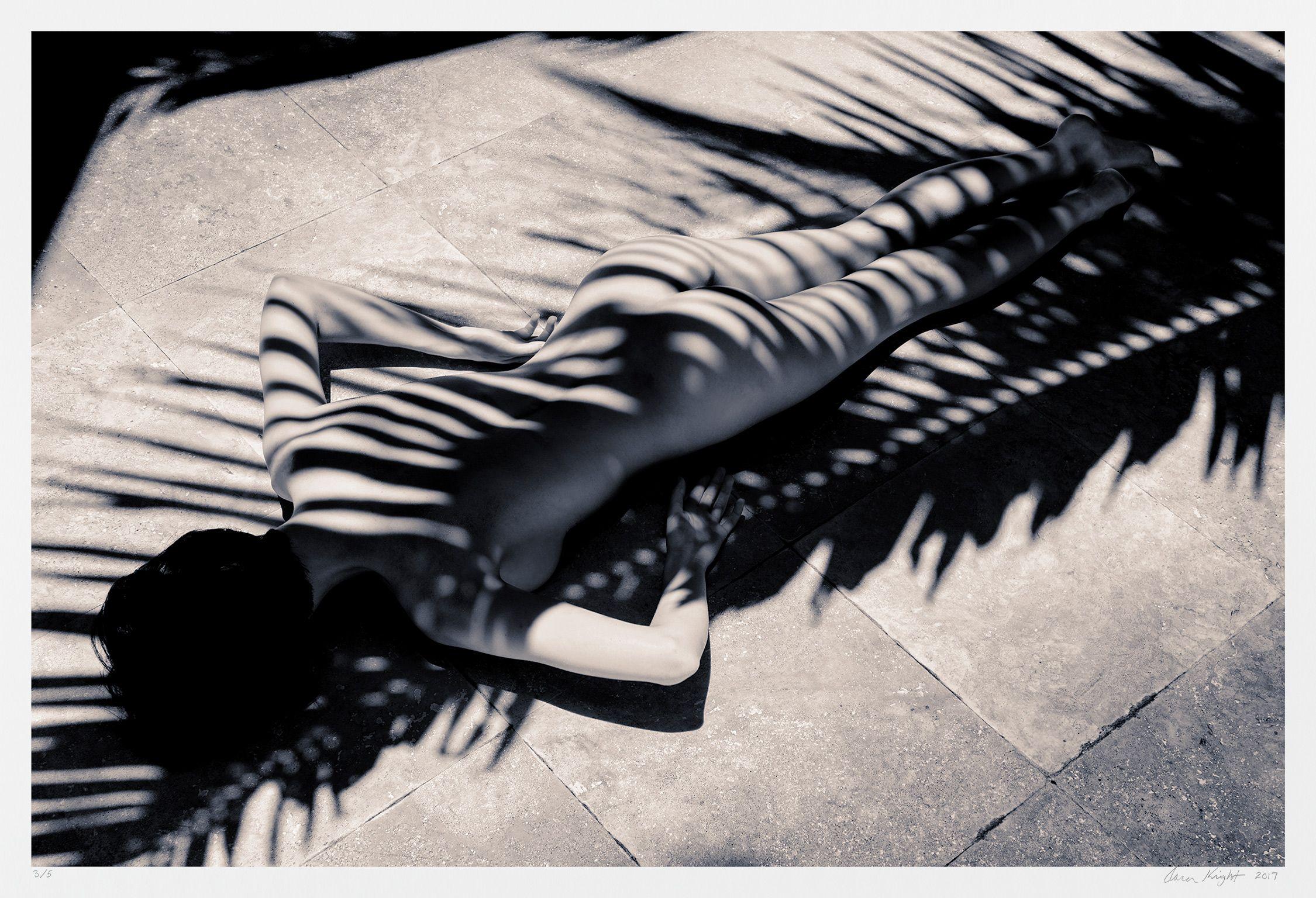 Aaron Knight Black and White Photograph - Palm Zebra, Photograph, Archival Ink Jet
