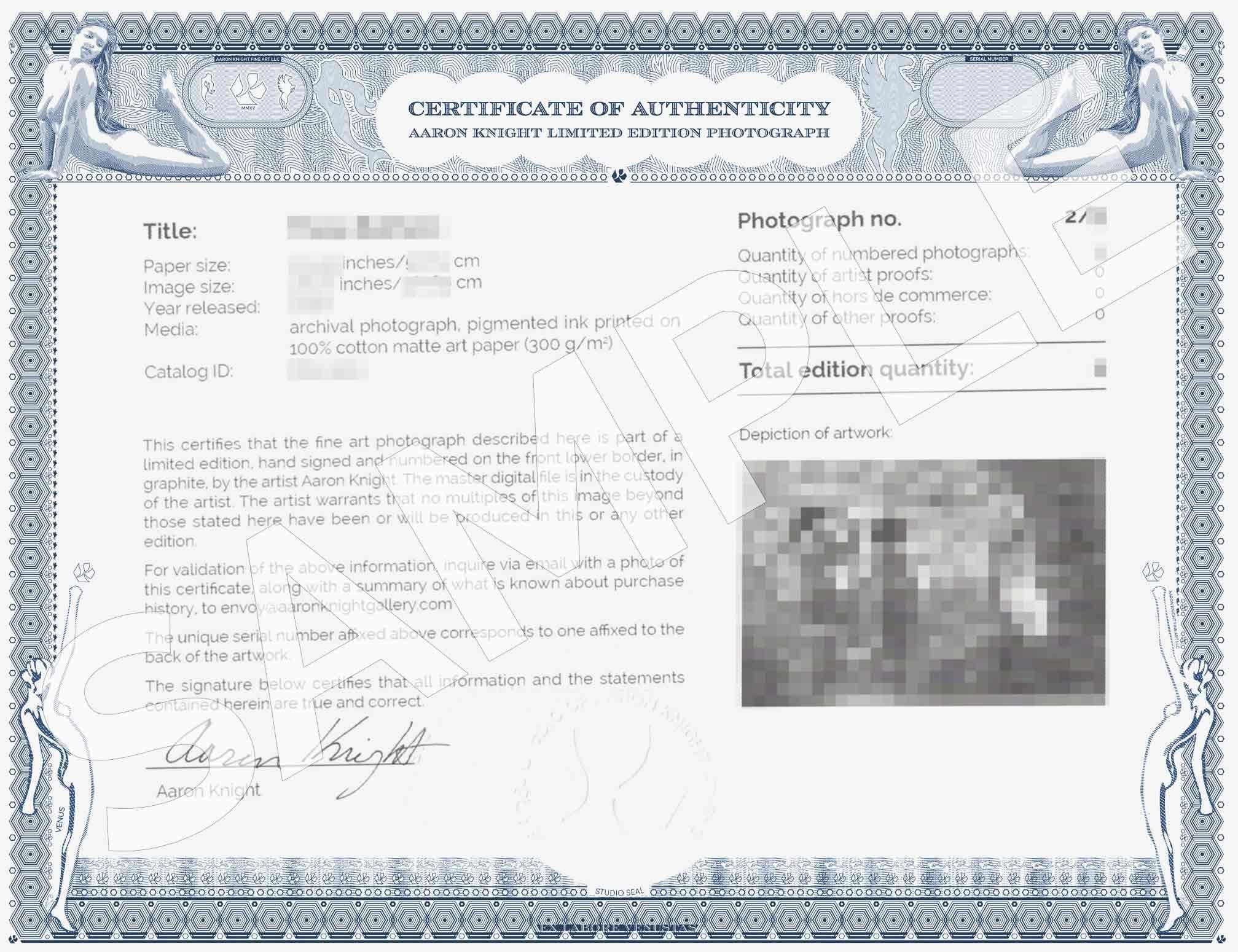 Da un'edizione limitata di 6 fotografie d'archivio  Firmato e numerato dall'artista Aaron Knight  Immagine: 20Ã-30 pollici/51Ã-76 cm  Carta: 22-32 pollici/56-81 cm    ID artista: CG4_6408   :: Fotografia :: Bianco e nero :: Questo pezzo viene