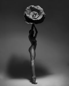 "Dietro le ombre" Fotografia di nudo 20" x 16" in Ed. 1/15 di Aaron Mcpolin