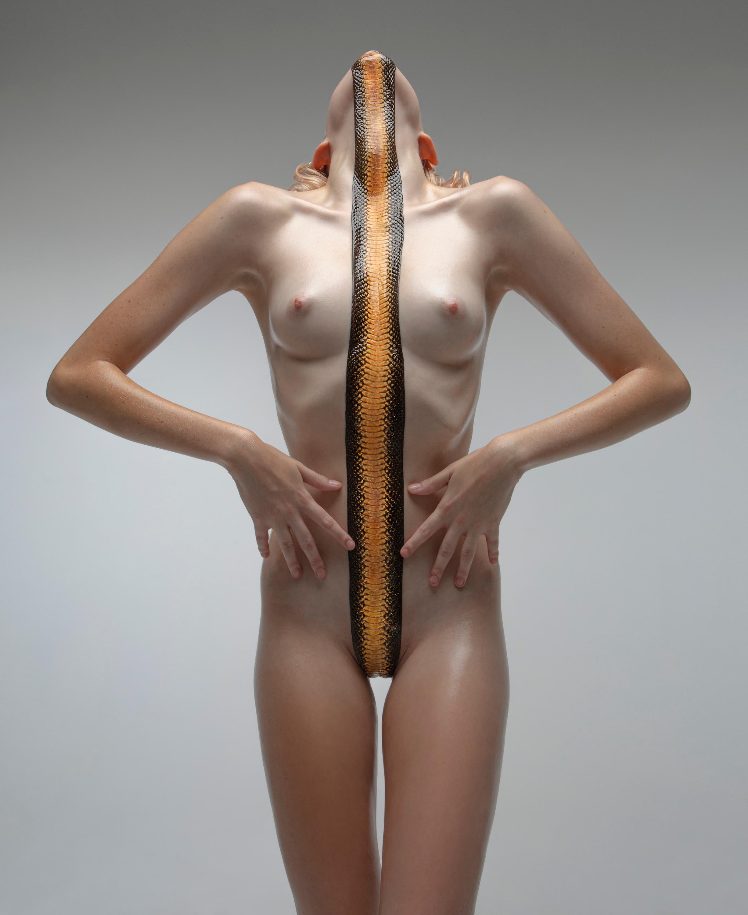 "El vientre del dragón" Fotografía de desnudo 36" x 24" en Ed. 1/7 por Aaron Mcpolin