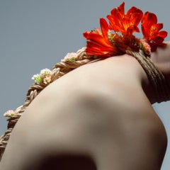„Bow“ Fotografie 30" x 30" Zoll Auflage 1/7 von Aaron Mcpolin