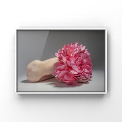 "Cradle the Sun" Fotografia di nudo 18" x 24" pollici Edizione 1/15 di Aaron Mcpolin