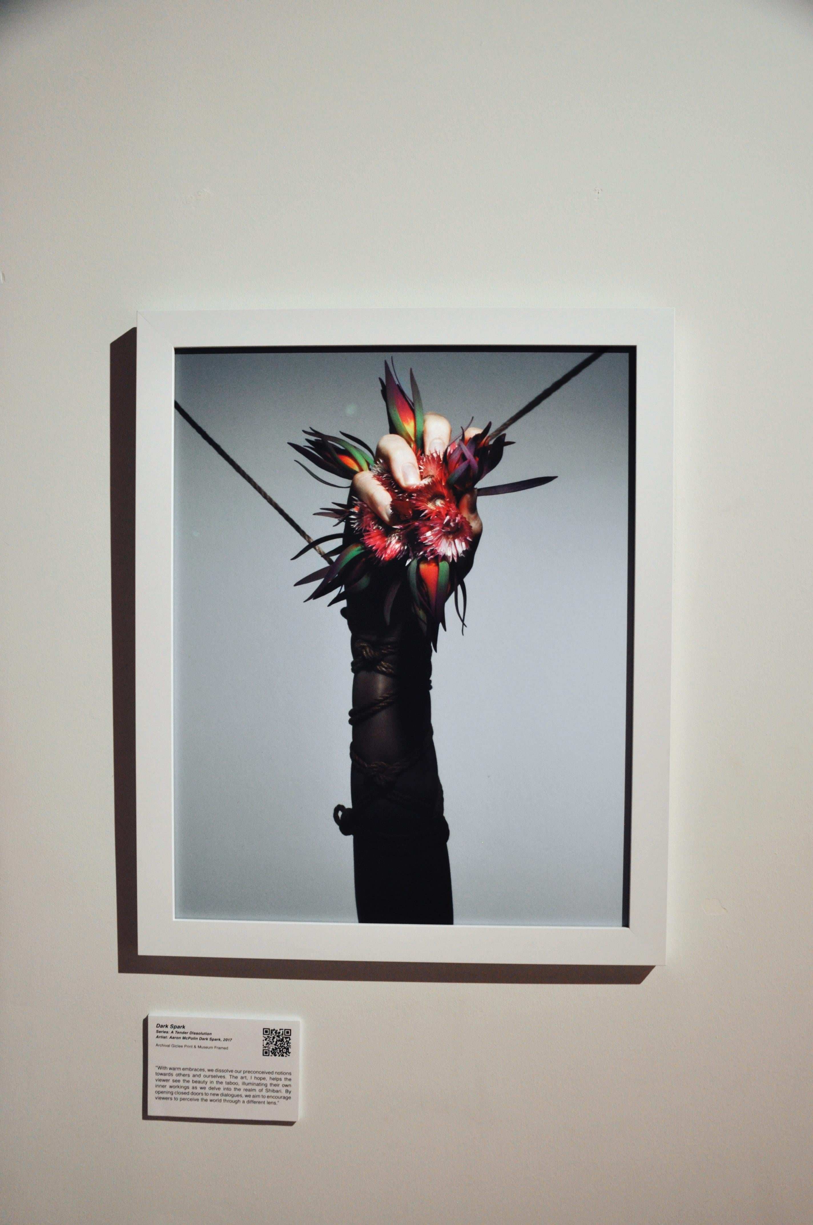 „Dark Spark“ (FRAMED) Fotografie 20