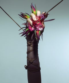 „Dark Spark“ (FRAMED) Fotografie 20" x 16" in Auflage 1/15 von Aaron Mcpolin