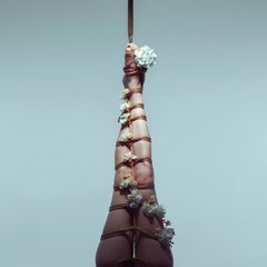"Growth" Photography 30" x 30" inch Edition 1/7 by Aaron Mcpolin