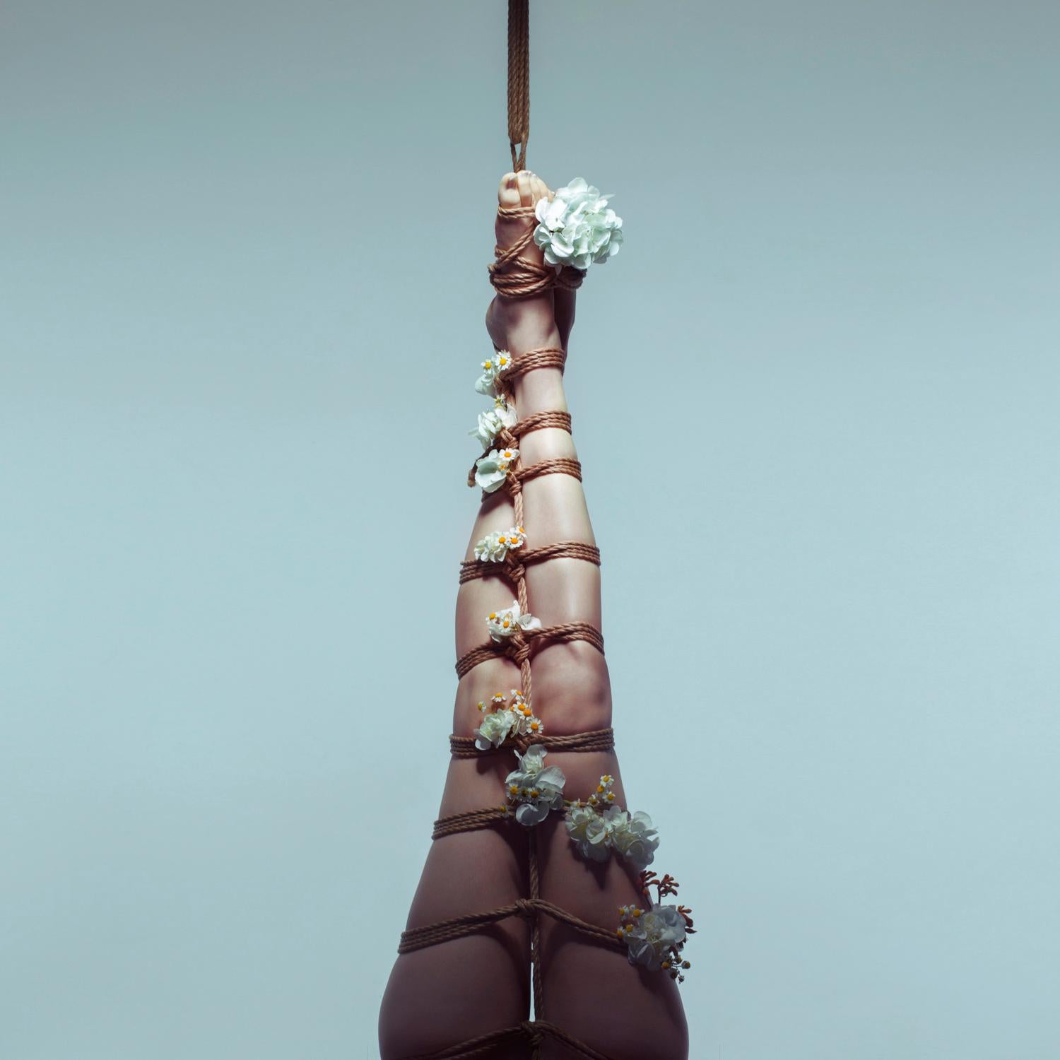 "Growth" Photography 40" x 40" inch Edition 1/3 by Aaron Mcpolin