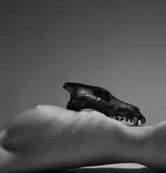 "Lupa II" Aktfotografie 30" x 30" in Auflage von 7 von Aaron Mcpolin