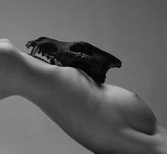 "Lupa" Photographie de nu 24" x 32" pouces Edition 1/7 par Aaron Mcpolin