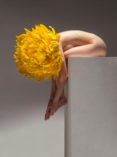 "Pétalos de Medianoche, Heridas Suaves" Fotografía 32" x 24" en Ed. 1/7 por Aaron Mcpolin