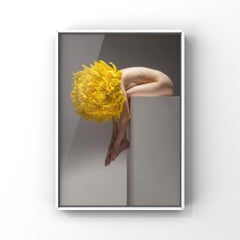 "Petali di mezzanotte, ferite morbide" Fotografia 40" x 30" in Ed. 1/3 di Aaron Mcpolin