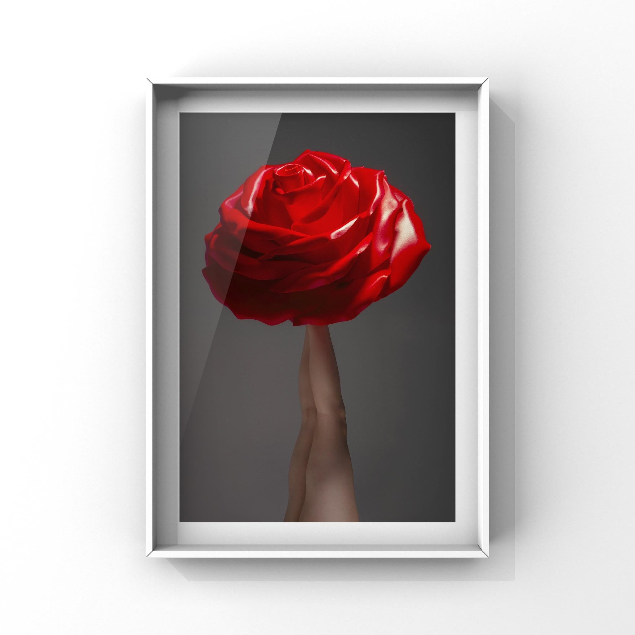 Photographie 