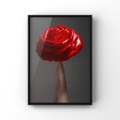 "Lode al sole" Fotografia 40" x 32" in Ed. 1/3 di Aaron Mcpolin