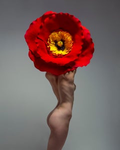 "Resplandor II" Fotografía de Desnudo Figurativo 30" x 24" en Ed. 1/7 por Aaron Mcpolin