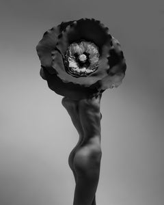 "Radiance III" B&W Nude Photograph 20 x 16 in Limited Ed. 1/15 by Aaron Mcpolin