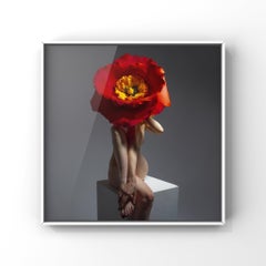 "Radiance" Fotografia di nudo 40" x 40" pollici Edizione 1/3 di Aaron Mcpolin