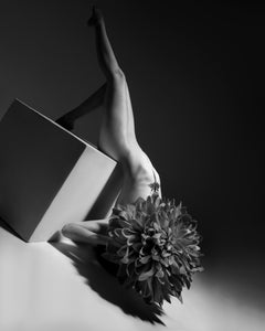 "Seraphim II" Nude Photography 40" x 32" in Ed. 1/3 by Aaron Mcpolin