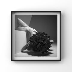"Seraphim" Nude Photography 24" x 24" inch Edition 1/15 by Aaron Mcpolin