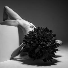 Photographie nue "Seraphim" 30" x 30" pouces Edition 1/7 d'Aaron Mcpolin