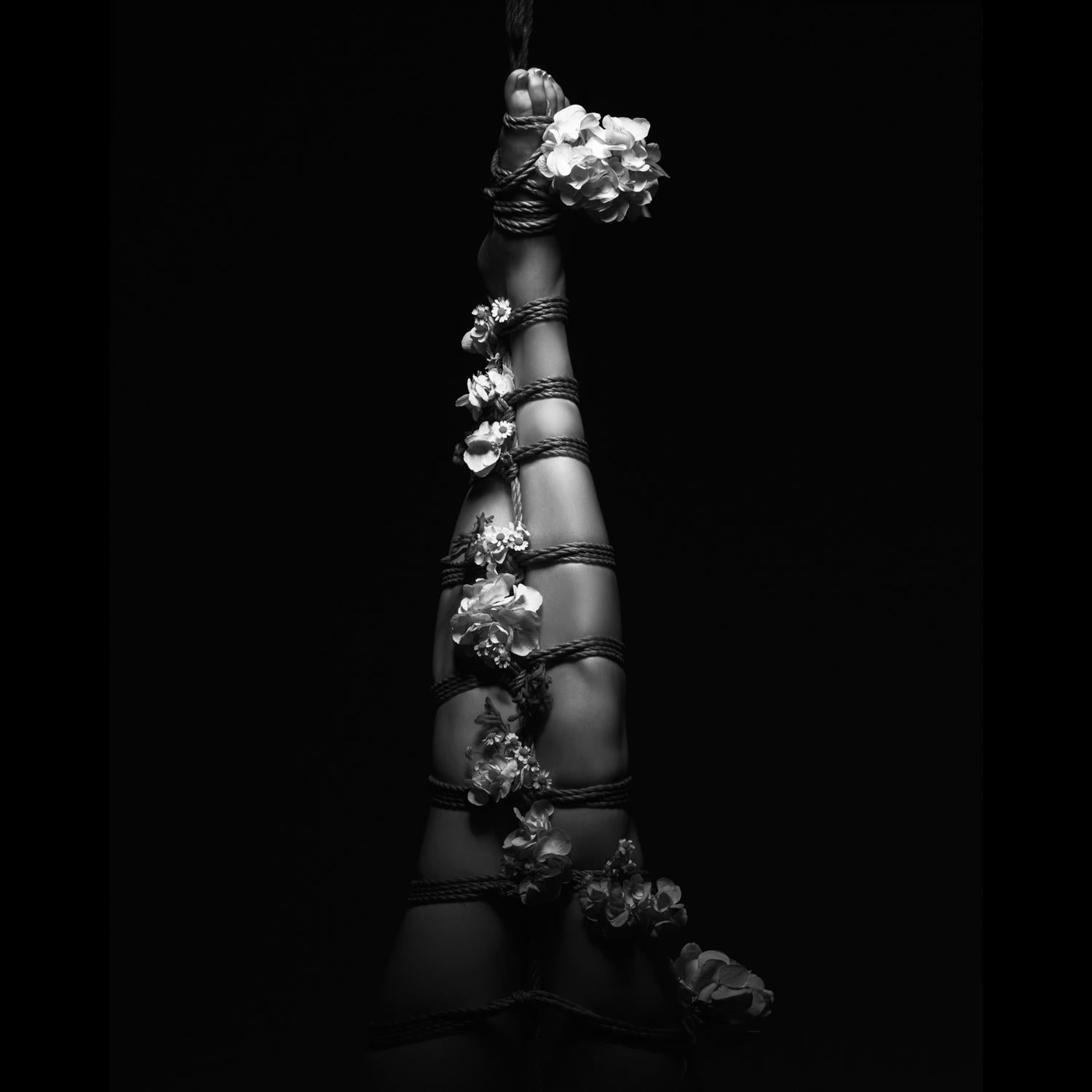 Black and White Photograph Aaron McPolin - "Submission" Photographie Shibari 24" x 24" pouces Edition 1/15 par Aaron Mcpolin