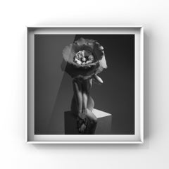 "Thorns" Nude B&W Photograph 30" x 30" in Limited Ed. 1/7 by Aaron Mcpolin