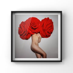 "Valentine" Nude Photography 40" x 40" inch Edition 1/3 by Aaron Mcpolin