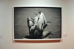 "Willful Sin II" (FRAMED) Photography 40" x 60" in Ed. 1/3 by Aaron Mcpolin