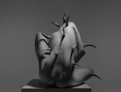 „Willful Sin II“ (FRAMED) Fotografie 40" x 60" in Ed. 1/3 von Aaron Mcpolin
