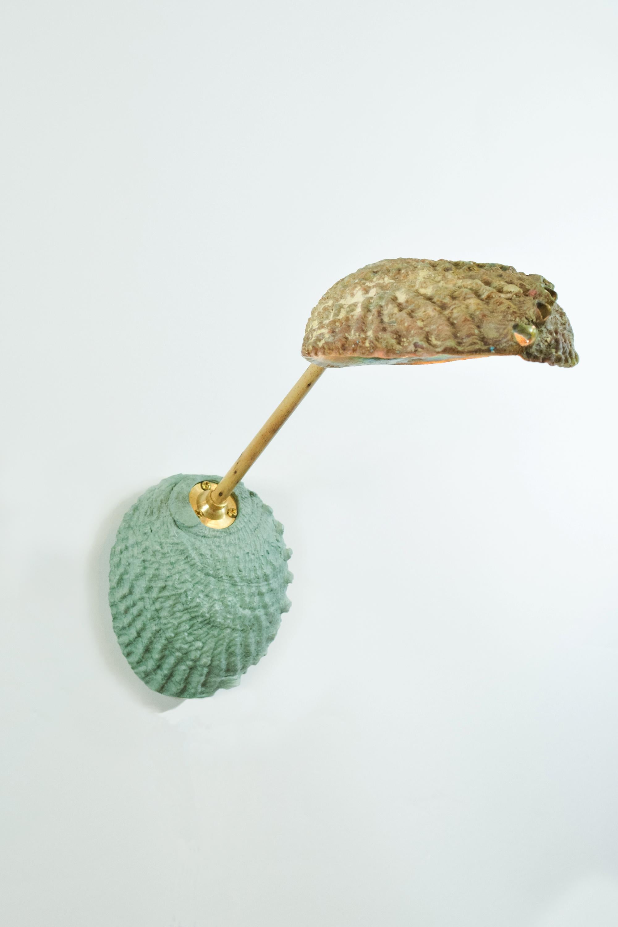 Abalone- und Bambus-Wandleuchter, beweglich, mit natürlichem Muschelschirm [Hardwirbel] (Moderne) im Angebot