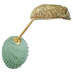 Abalone- und Bambus-Wandleuchter, beweglich, mit natürlichem Muschelschirm [Hardwirbel]