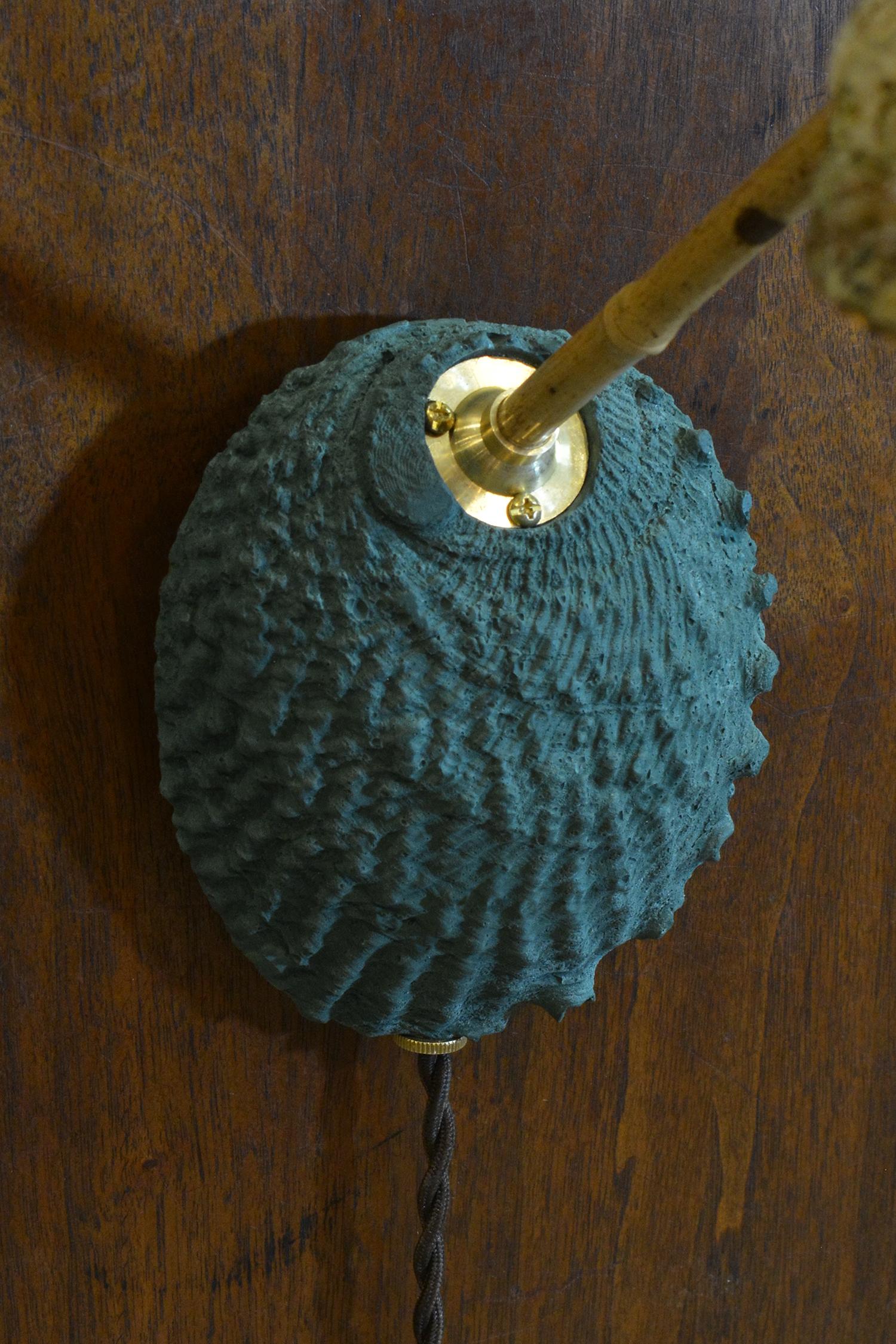 Ottone Applique articolata in Abalone e Bambù con paralume in conchiglia Nature [Corde] in vendita