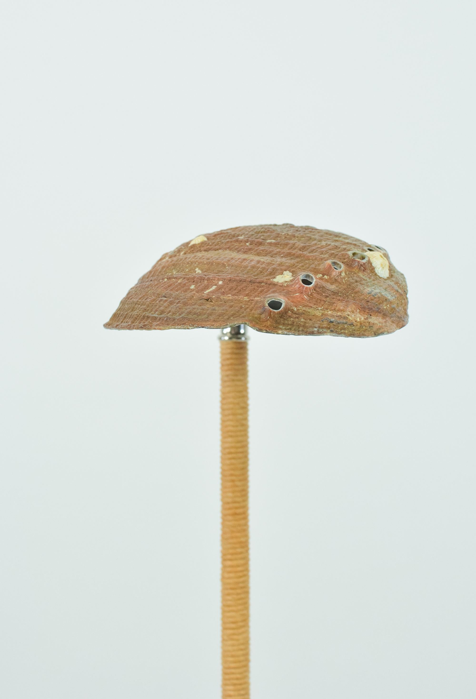 Abalone Desk Lamp in Chrome with Natural Seashell Shade [In Stock] For Sale 1