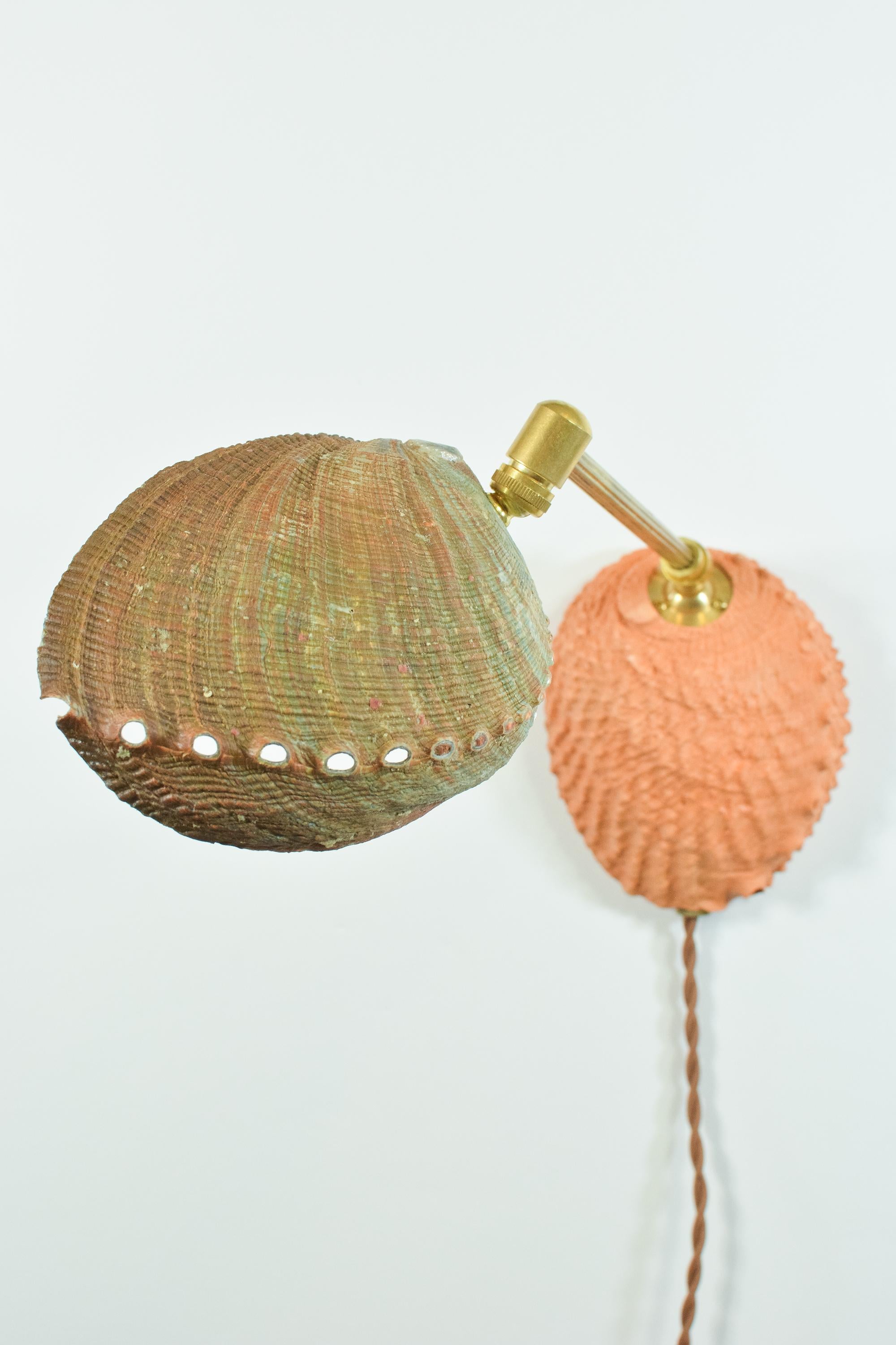Applique in ottone scanalato e Abalone con paralume in conchiglia Nature [Corde] in vendita 2