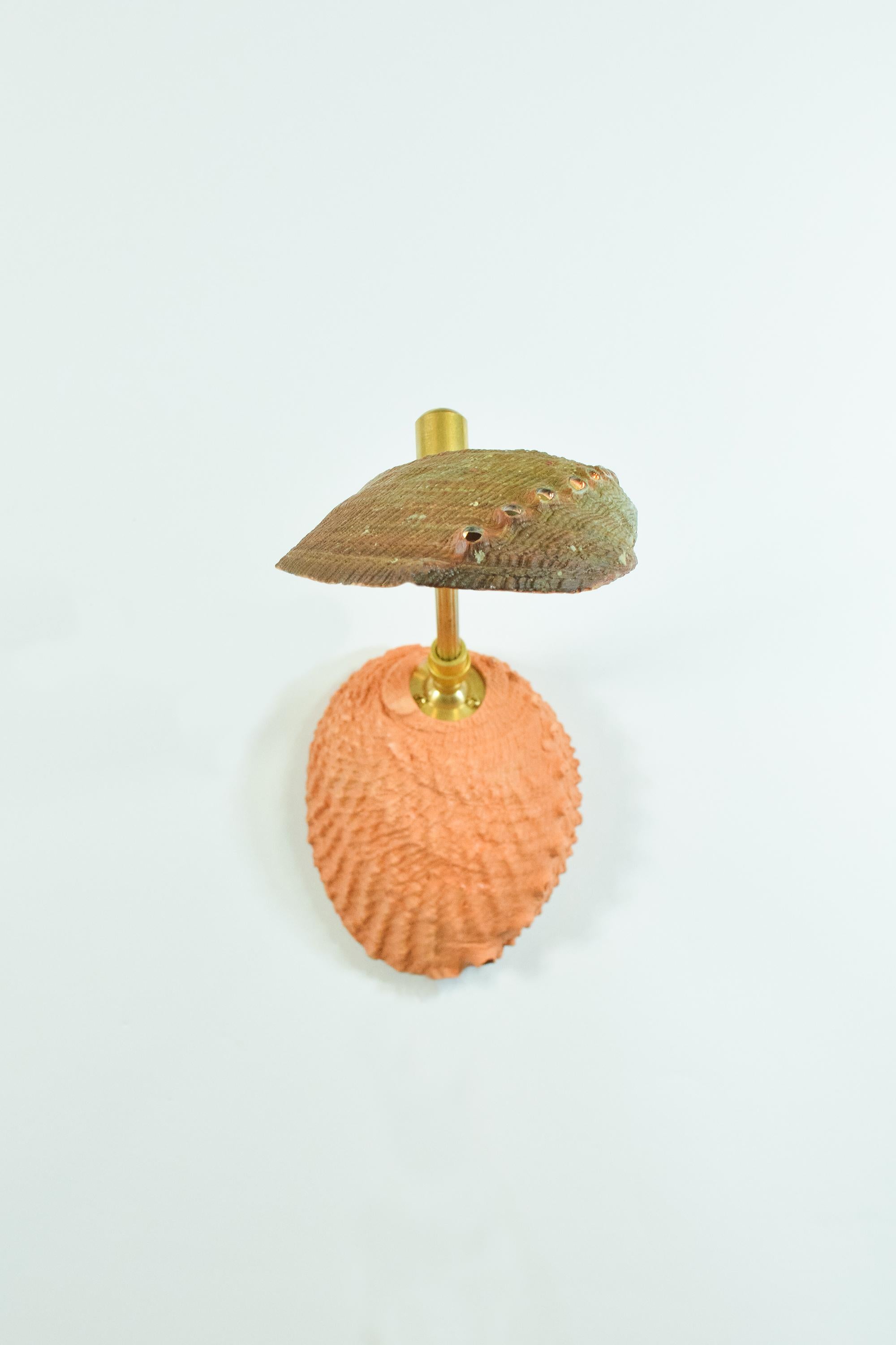 Introducing the Ligurian Collection, a sophisticated family of handmade fixtures in natural sea shell, coiled leather, marble, and bamboo, inspired by the faded splendor of the northern Italian coast.

A lighter, more flexible sequel to the
