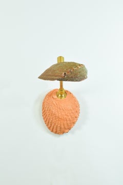 Abalone & Fluted Brass Wall Sconce with Natural Seashell Shade [Hardwired]]