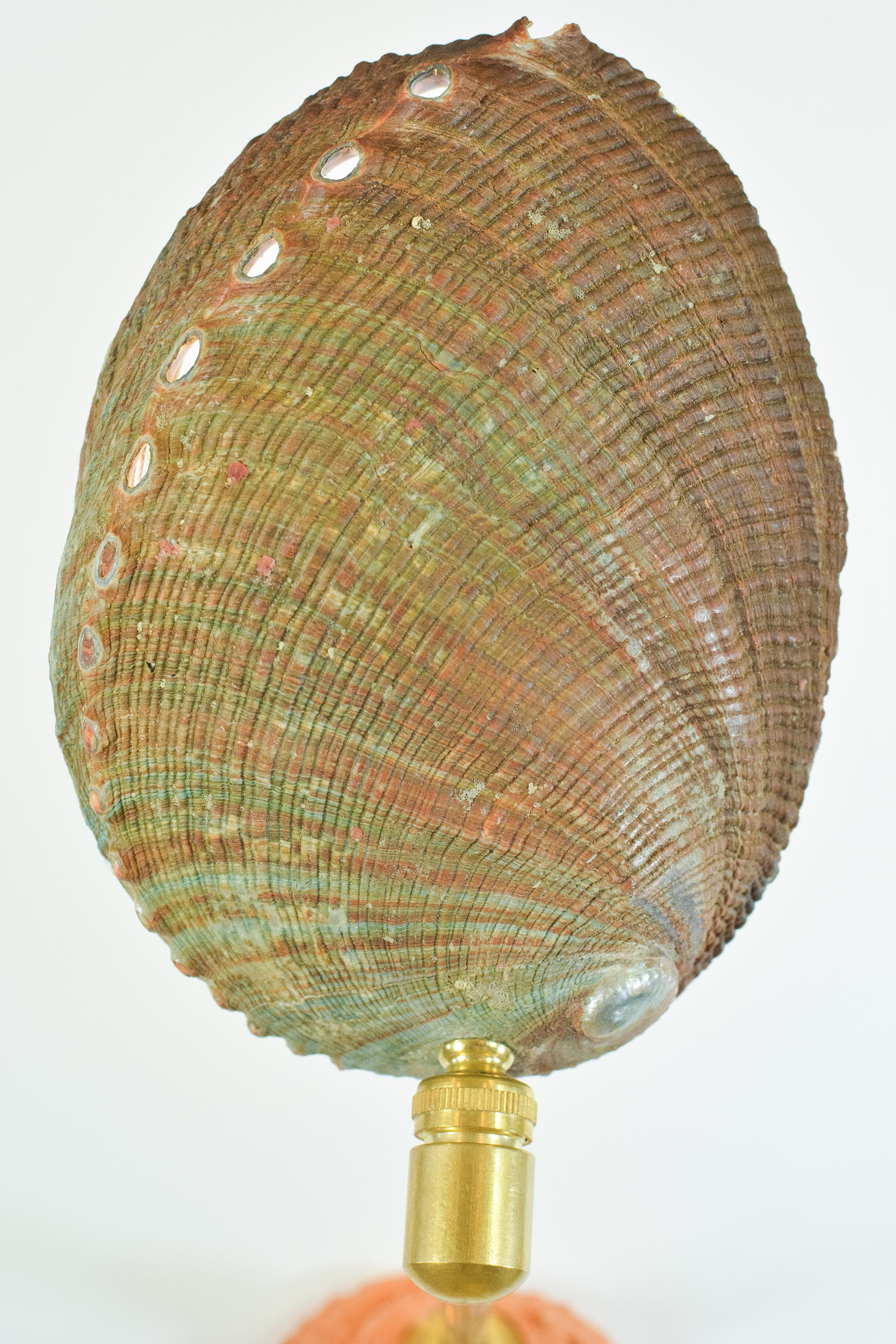 Modern Abalone & Fluted Brass Wall Sconce with Natural Seashell Shade [Hardwired]] For Sale