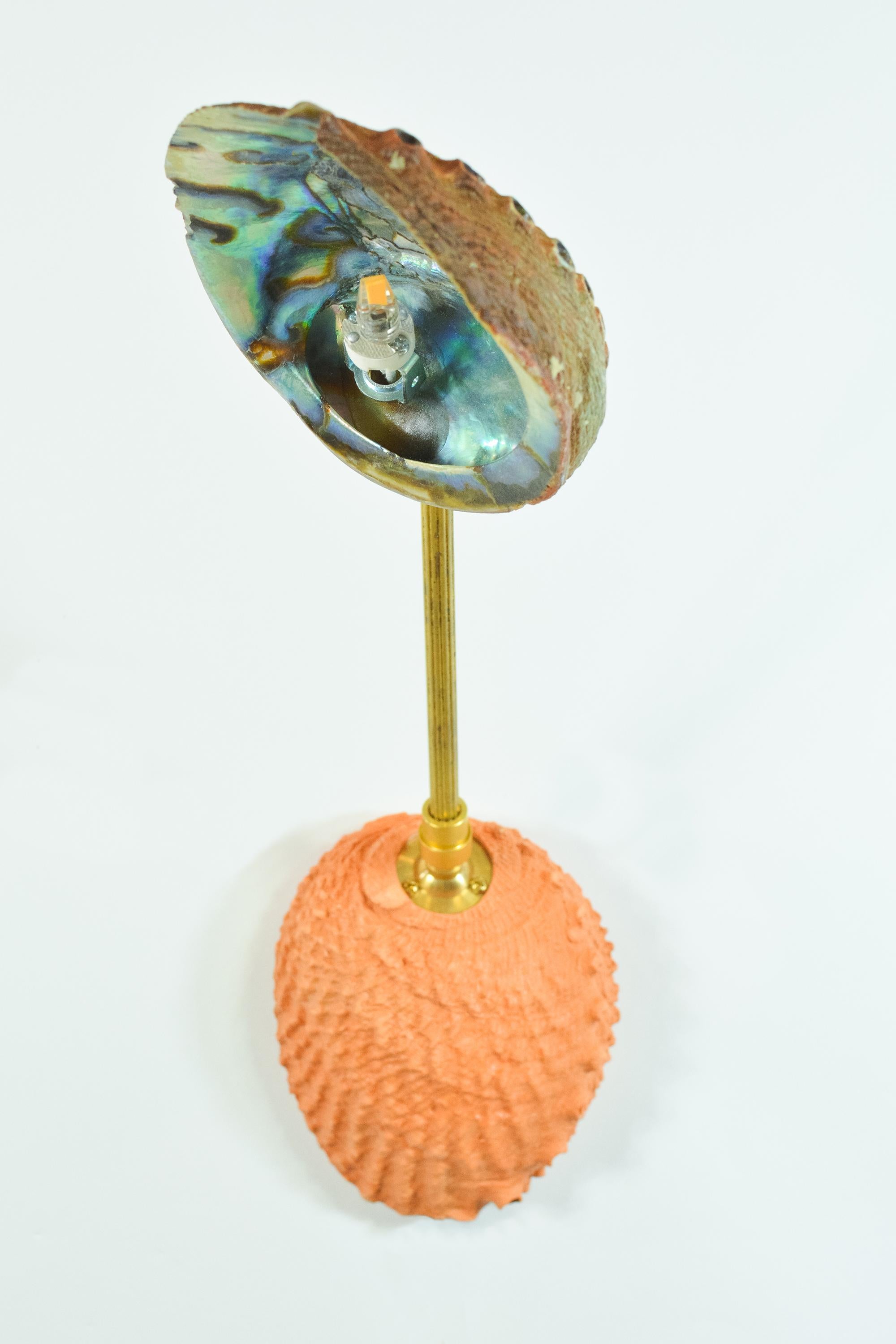 Hand-Crafted Abalone & Fluted Brass Wall Sconce with Natural Seashell Shade [Hardwired]] For Sale