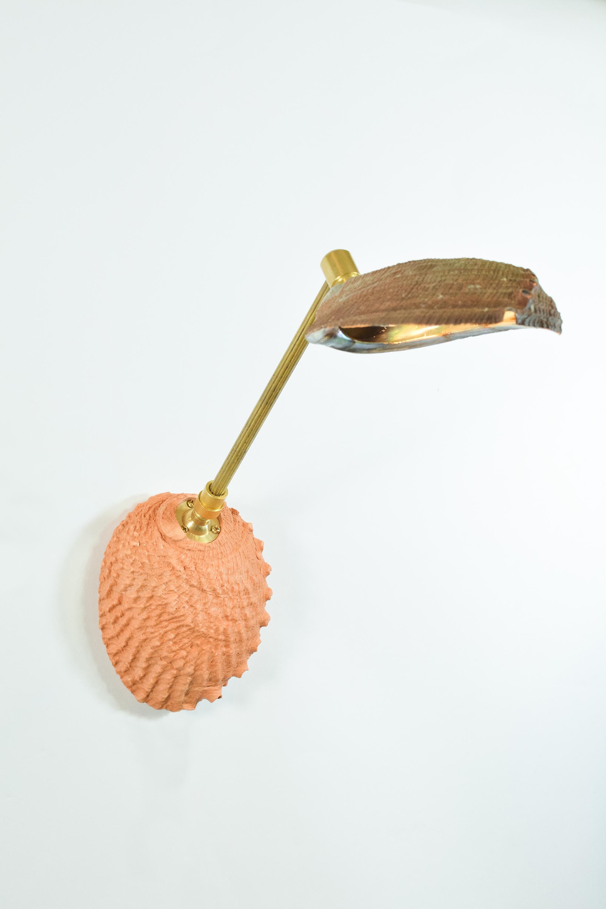 Abalone & Fluted Brass Wall Sconce with Natural Seashell Shade [Hardwired]] In New Condition For Sale In Brooklyn, NY