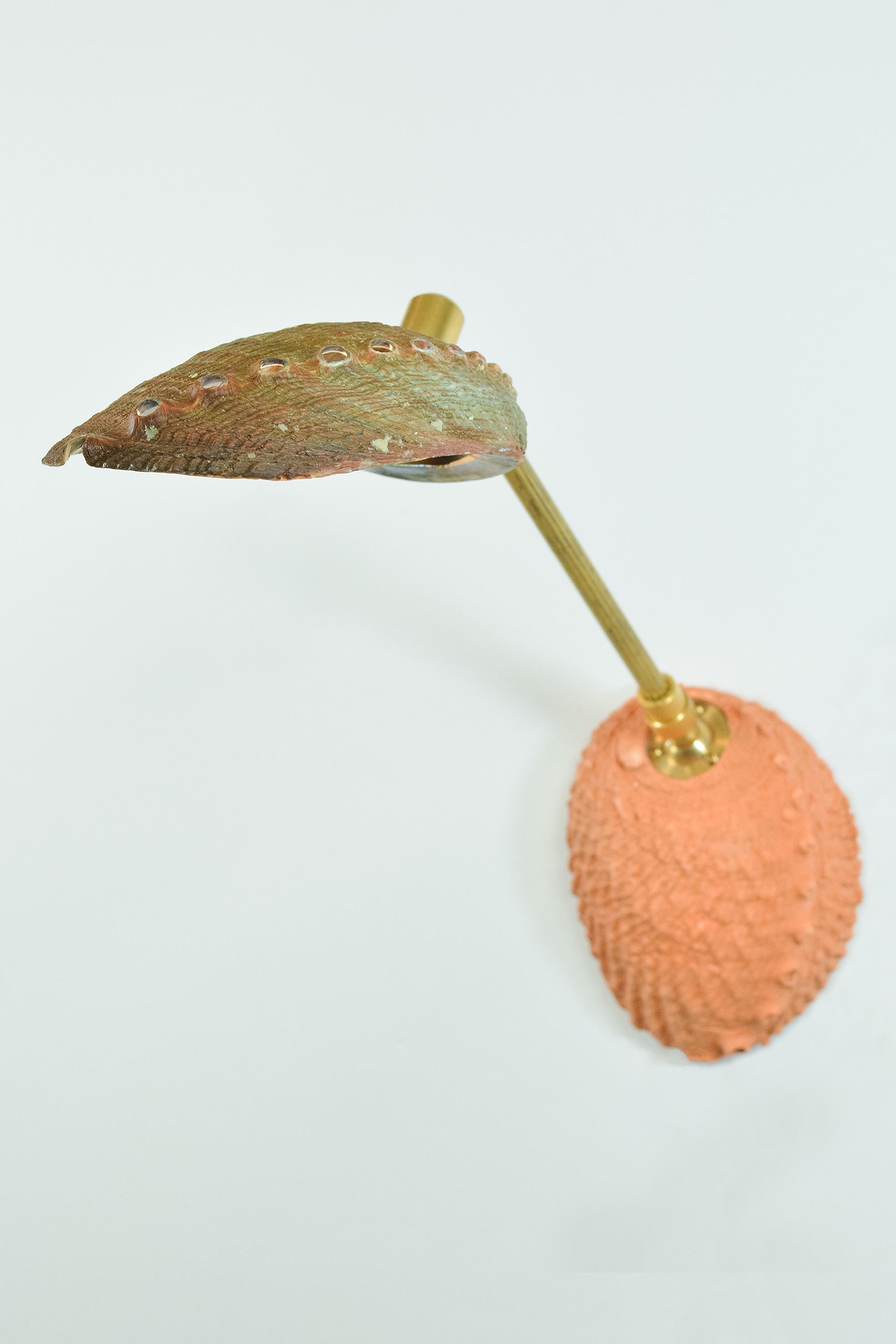 Contemporary Abalone & Fluted Brass Wall Sconce with Natural Seashell Shade [Hardwired]] For Sale