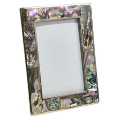 Vintage Abalone Picture Frame