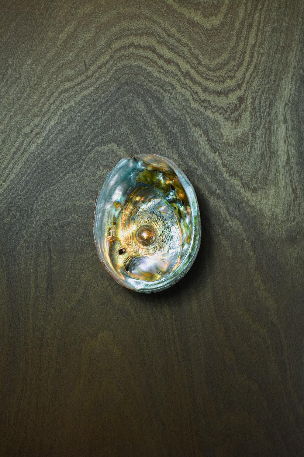 'Abalone Siren's Sconce' with Real Vintage Abalone Seashell Shade In New Condition For Sale In Brooklyn, NY
