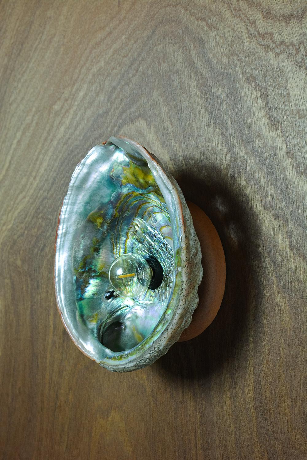Brass 'Abalone Siren's Sconce' with Real Vintage Abalone Seashell Shade For Sale
