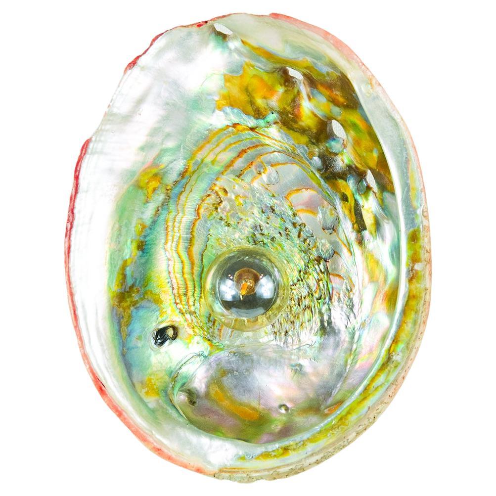 'Abalone Siren's Sconce' with Real Vintage Abalone Seashell Shade For Sale
