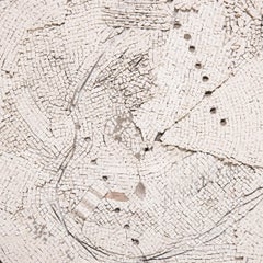 "Abandoned Land" Mosaic by Toyoharu Kii