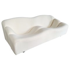 ABCD 2-Seater Sofa by Pierre Paulin for Artifort, 1960s