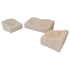 ABCD Set by Pierre Paulin for Artifort, 1960s