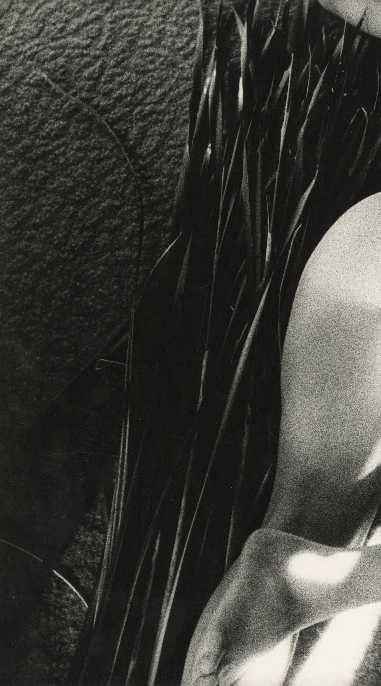 Madison Wisconsin, 1973 (Schwarz), Nude Photograph, von Abe Franjndlish