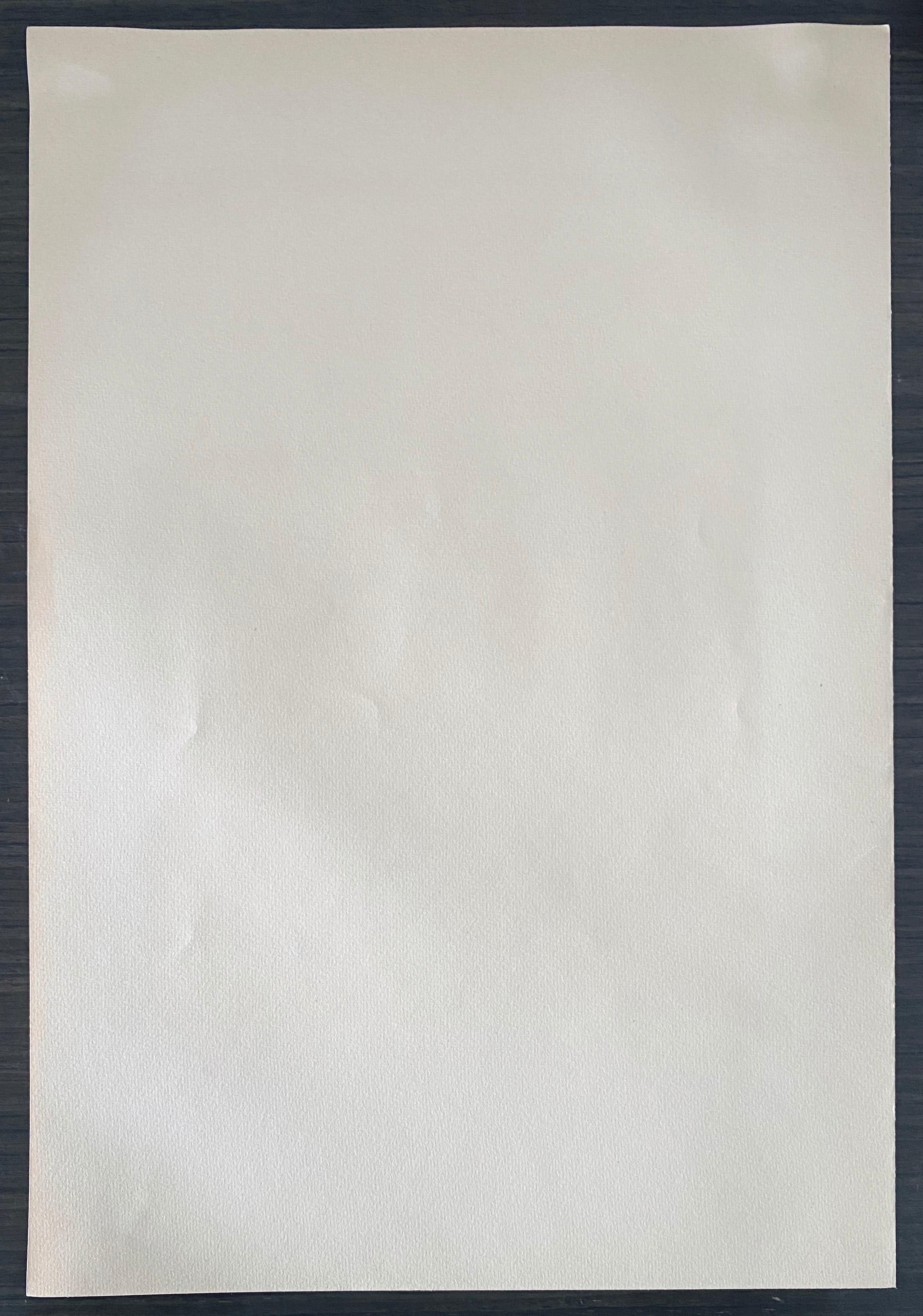 Abel Pann Israeli Bezalel Art School Litografia Judaica Stampa biblica Arte ebraica in vendita 5