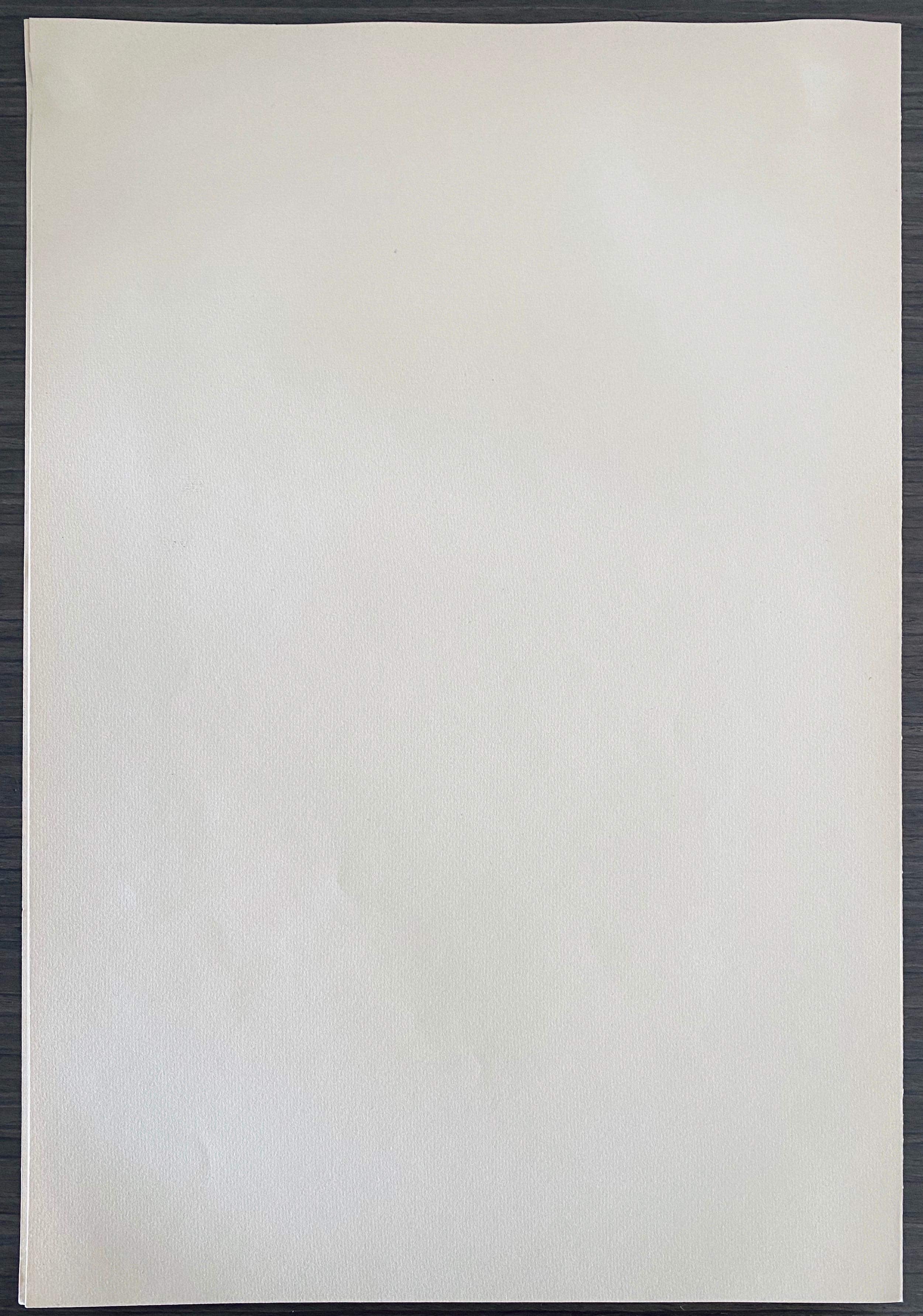 Abel Pann Israeli Bezalel Art School Litografia Judaica Stampa biblica Arte ebraica in vendita 5