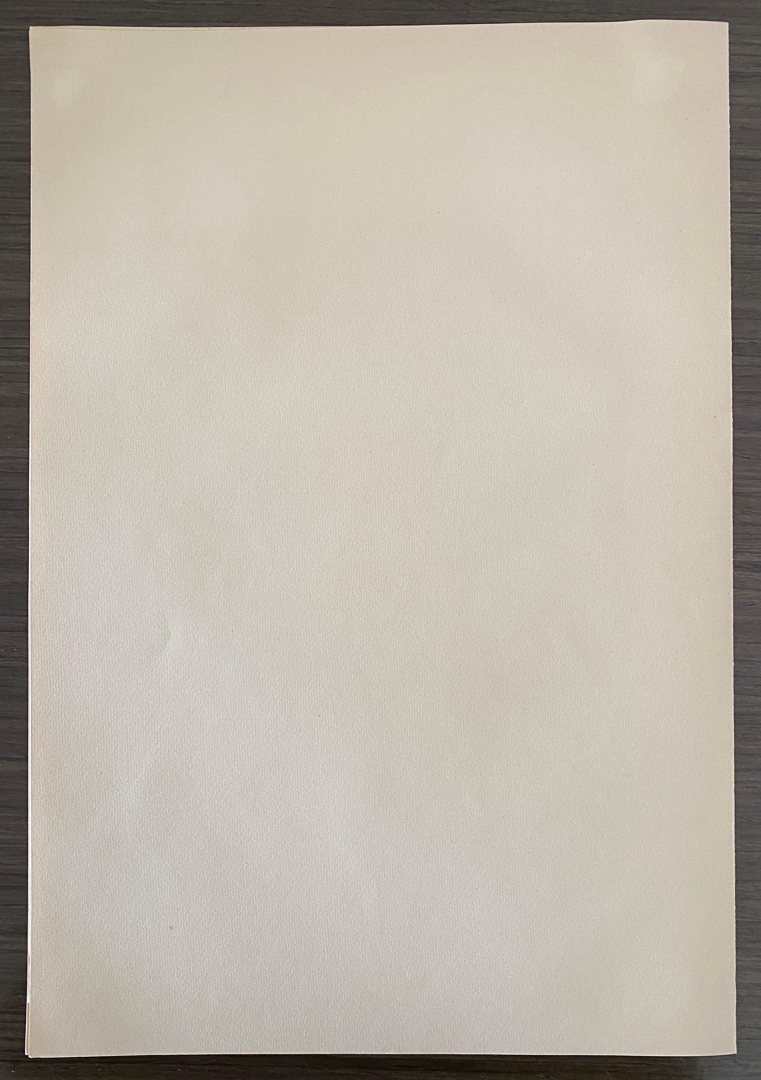 Abel Pann Israeli Bezalel Art School Litografia Judaica Stampa biblica Arte ebraica in vendita 5