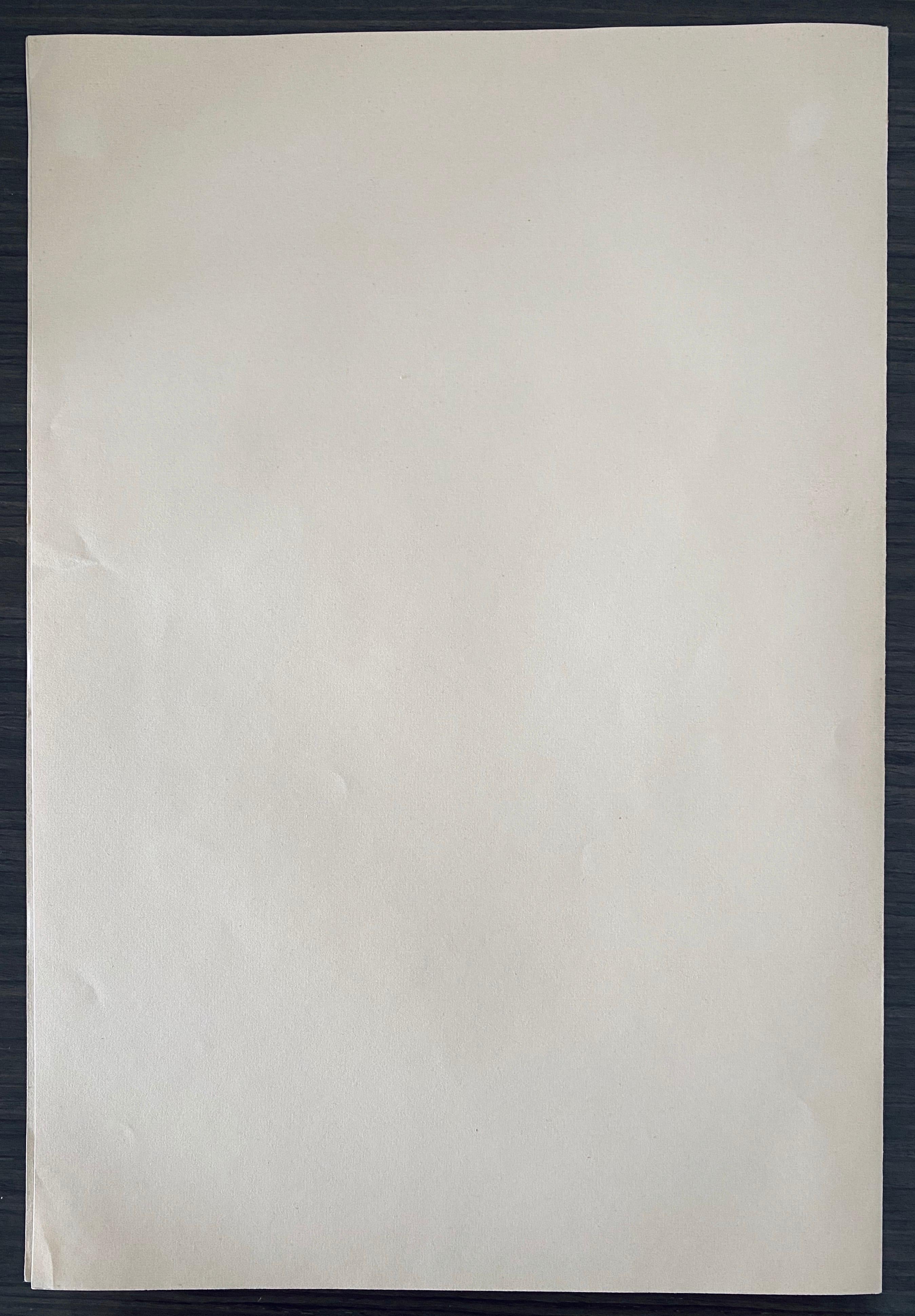 Abel Pann Israeli Bezalel Art School Litografia Judaica Stampa biblica Arte ebraica in vendita 5